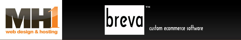 ecommerce website, shopping website, affordable custom web design, houston web designer