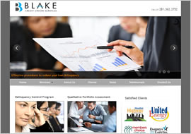 Blake Credit Union Services